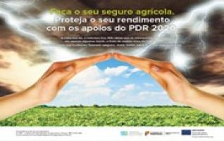 Gestão do Risco e Restabelecimento do Potencial Produtivo