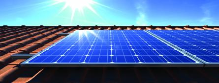Abertas candidaturas ao apoio à aquisição e instalação de painéis fotovoltaicos na agricultura e na transformação