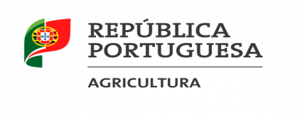 Despacho n.º 4640-C/2020