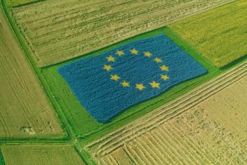 Medida de apoio excecional e temporária aos agricultores em resposta ao impacto da invasão da Ucrânia pela Rússia 