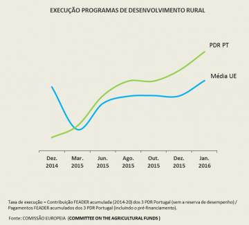 Imagem1