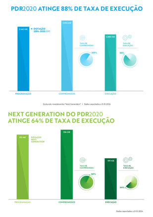 Imagem3