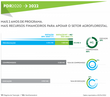 Infografia_2022_Dados_3