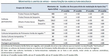 Montantes e Limites de Apoio