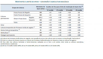 Montantes e limites do aopio