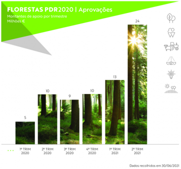 O PDR2020 em números