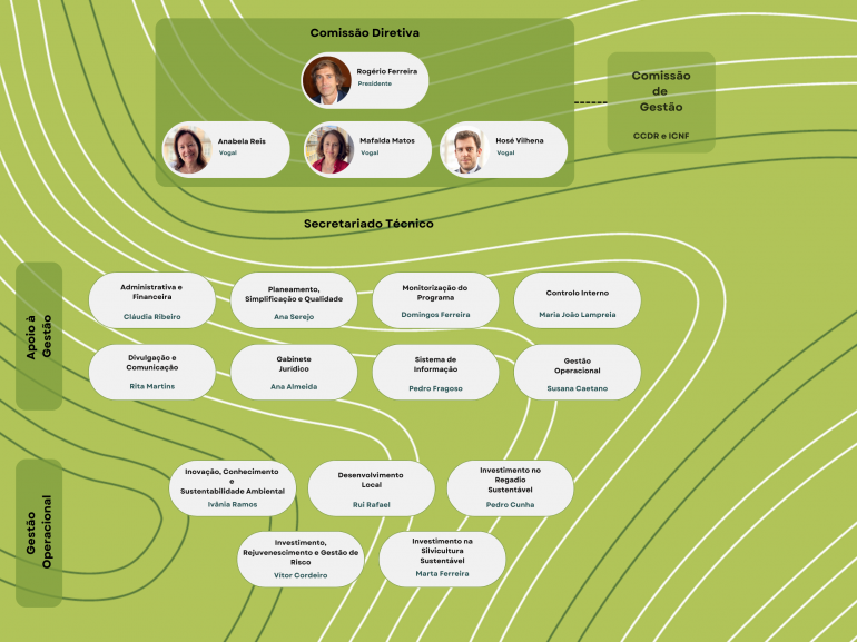 Organograma - fevereiro 2026